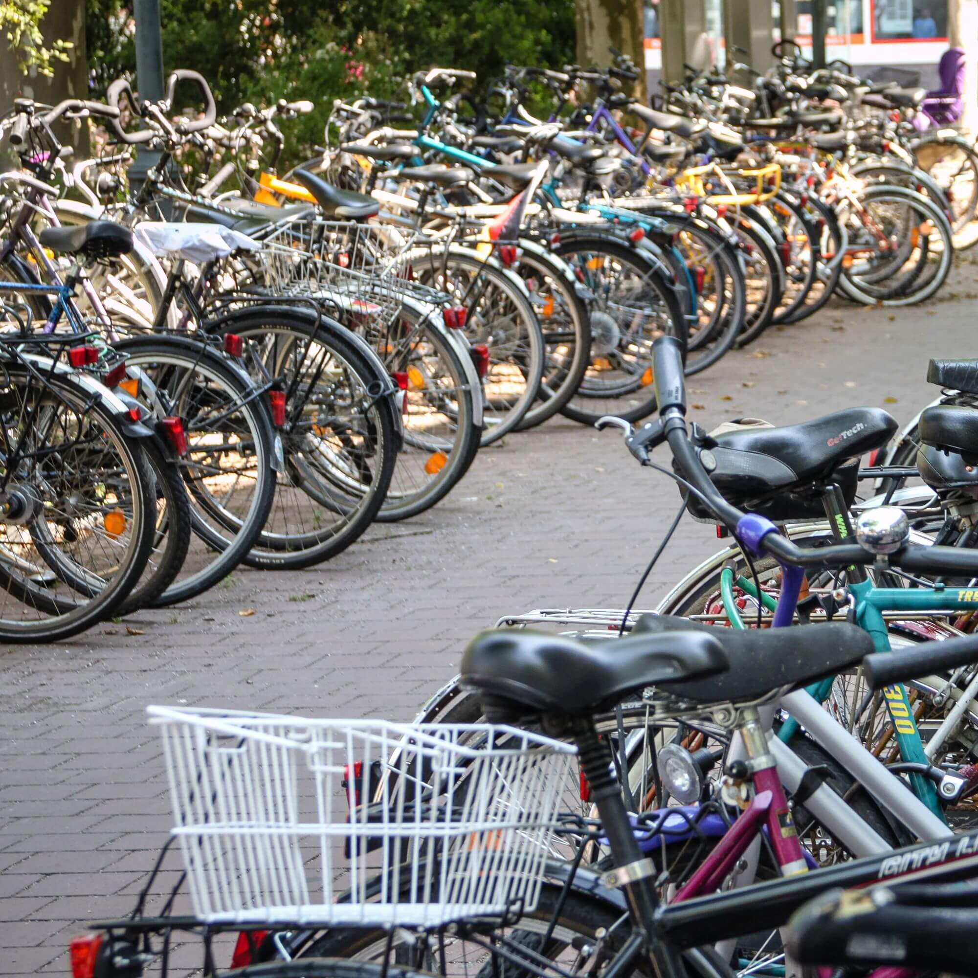 A street full of freestanding parked bicycles