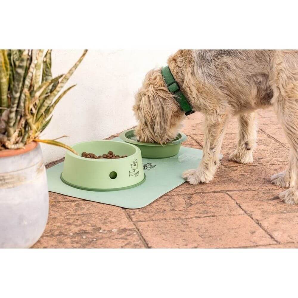 Vigar Pets Club 3 in 1 Pet Food Bowl Green - LIFESTYLE - Pets - Soko and Co