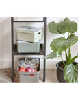 Sigma Home Top Tray Small - HOME STORAGE - Plastic Boxes - Soko and Co