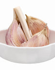 Clearly Fresh Garlic Food Storage Pod - KITCHEN - Accessories and Gadgets - Soko and Co