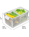 OXO Produce Saver Large Fridge Bin - KITCHEN - Food Containers - Soko and Co