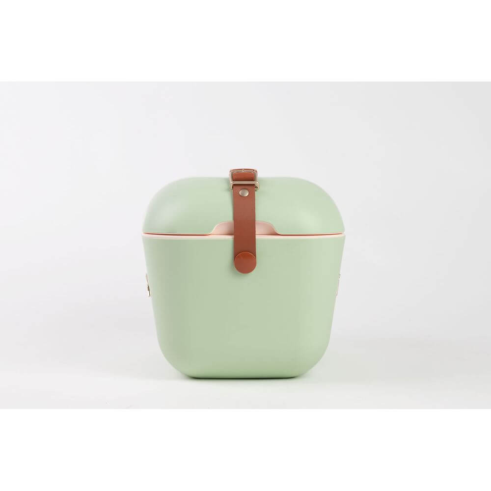 Polarbox 12L Ice Box Gold &amp; Sage - LIFESTYLE - Picnic - Soko and Co