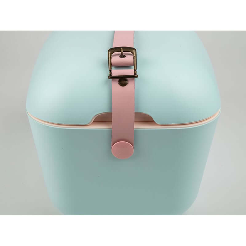 Polarbox Pop 12L Sky with Rose Strap - LIFESTYLE - Picnic - Soko and Co