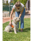 Vigar Pets Club Pet Hair Brush Orange - LIFESTYLE - Pets - Soko and Co
