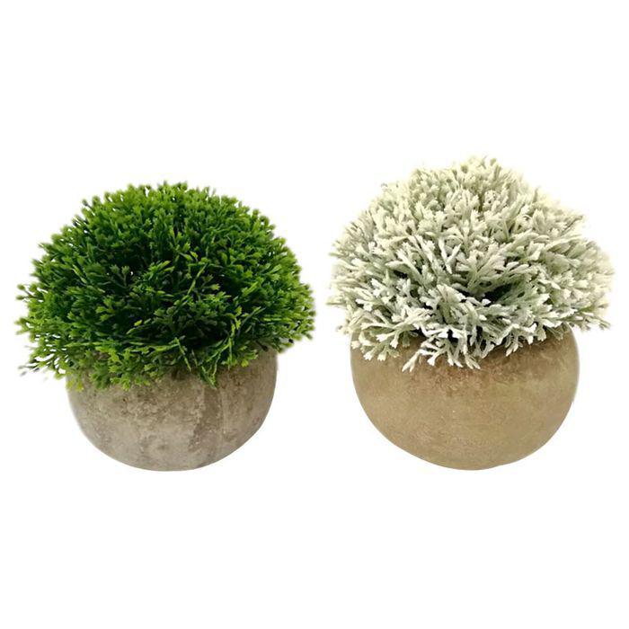 12cm Round Plant in Concrete Style Pot Light &amp; Dark - HOME STORAGE - Accessories and Decor - Soko and Co