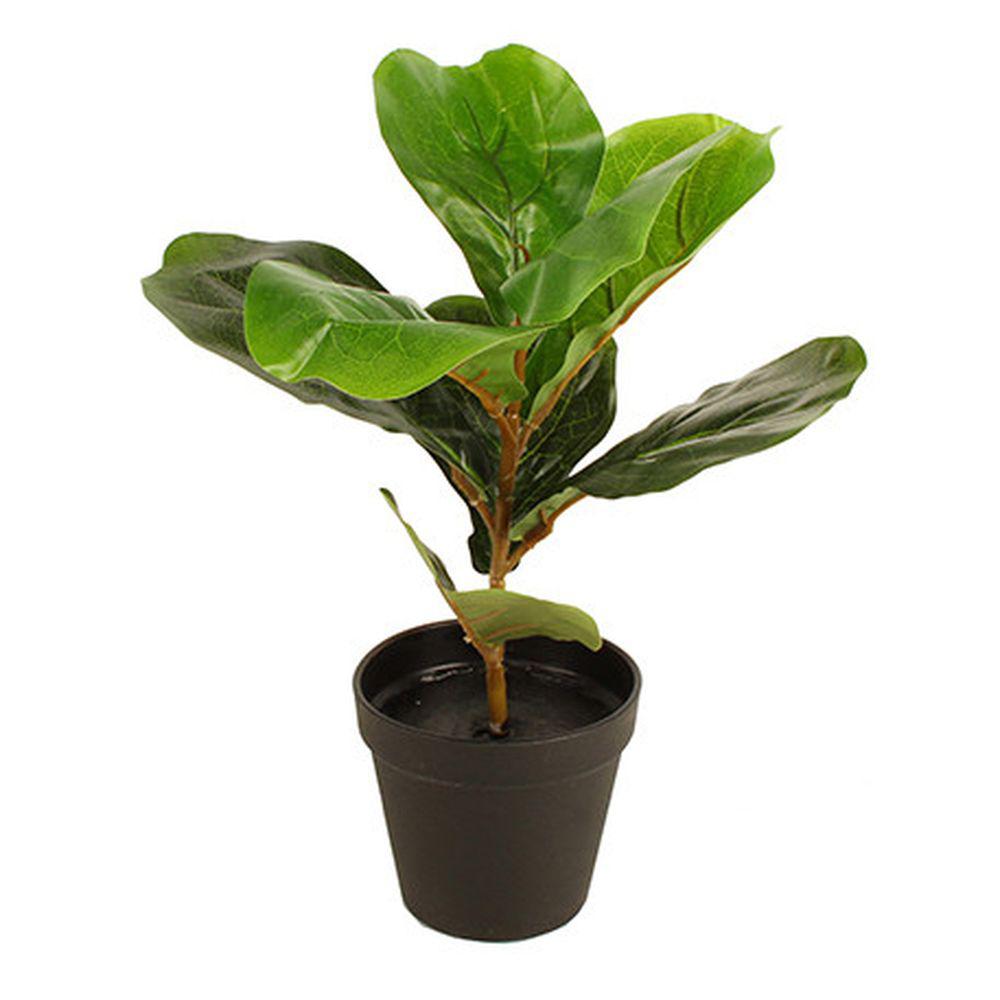 33cm Potted Fiddle Leaf Fig - HOME STORAGE - Accessories and Decor - Soko and Co