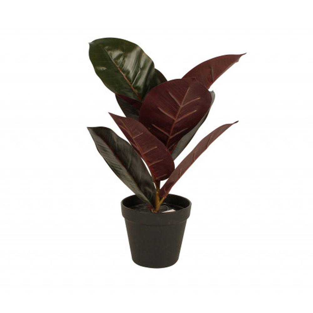 36cm Potted Burgundy Rubber Plant - HOME STORAGE - Accessories and Decor - Soko and Co