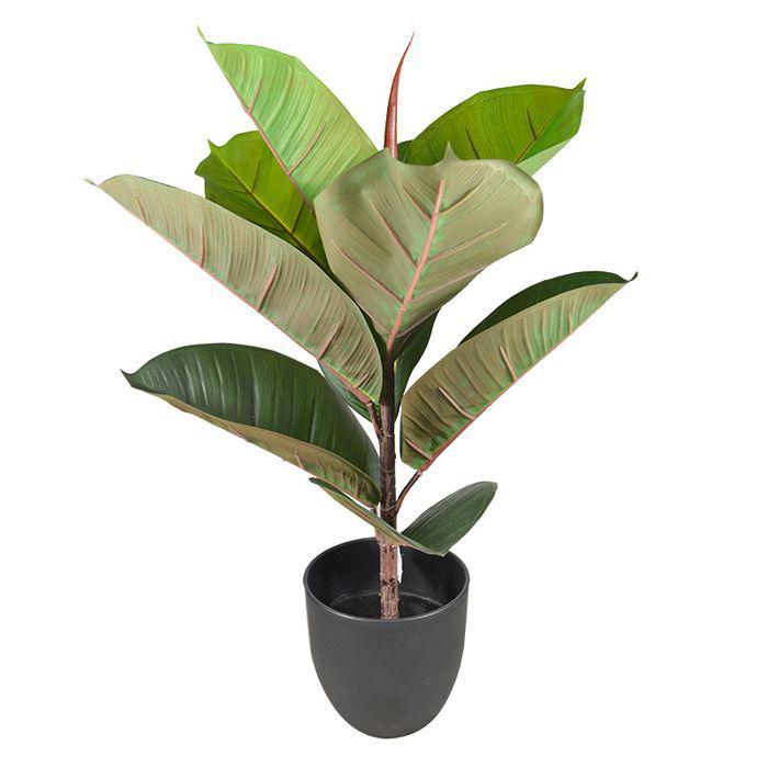 58cm Real Touch Potted Rubber Tree - HOME STORAGE - Accessories and Decor - Soko and Co